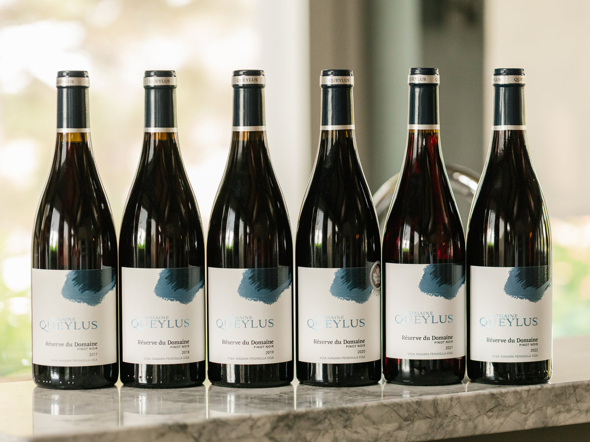 Pinot Noir Réserve du Domaine Vertical 2019-2023