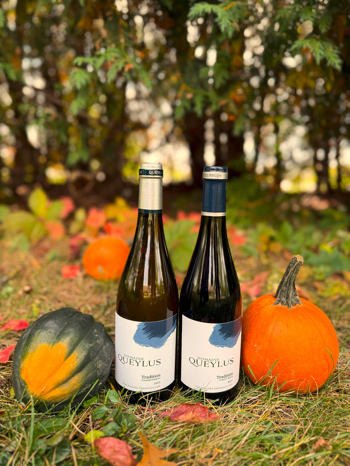 Thanksgiving Chardonnay & Pinot Tradition Bundle