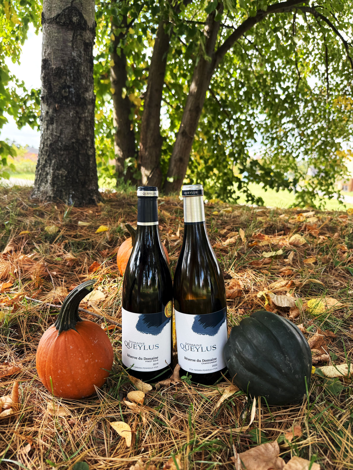 Thanksgiving Chardonnay & Pinot Réserve du Domaine Bundle