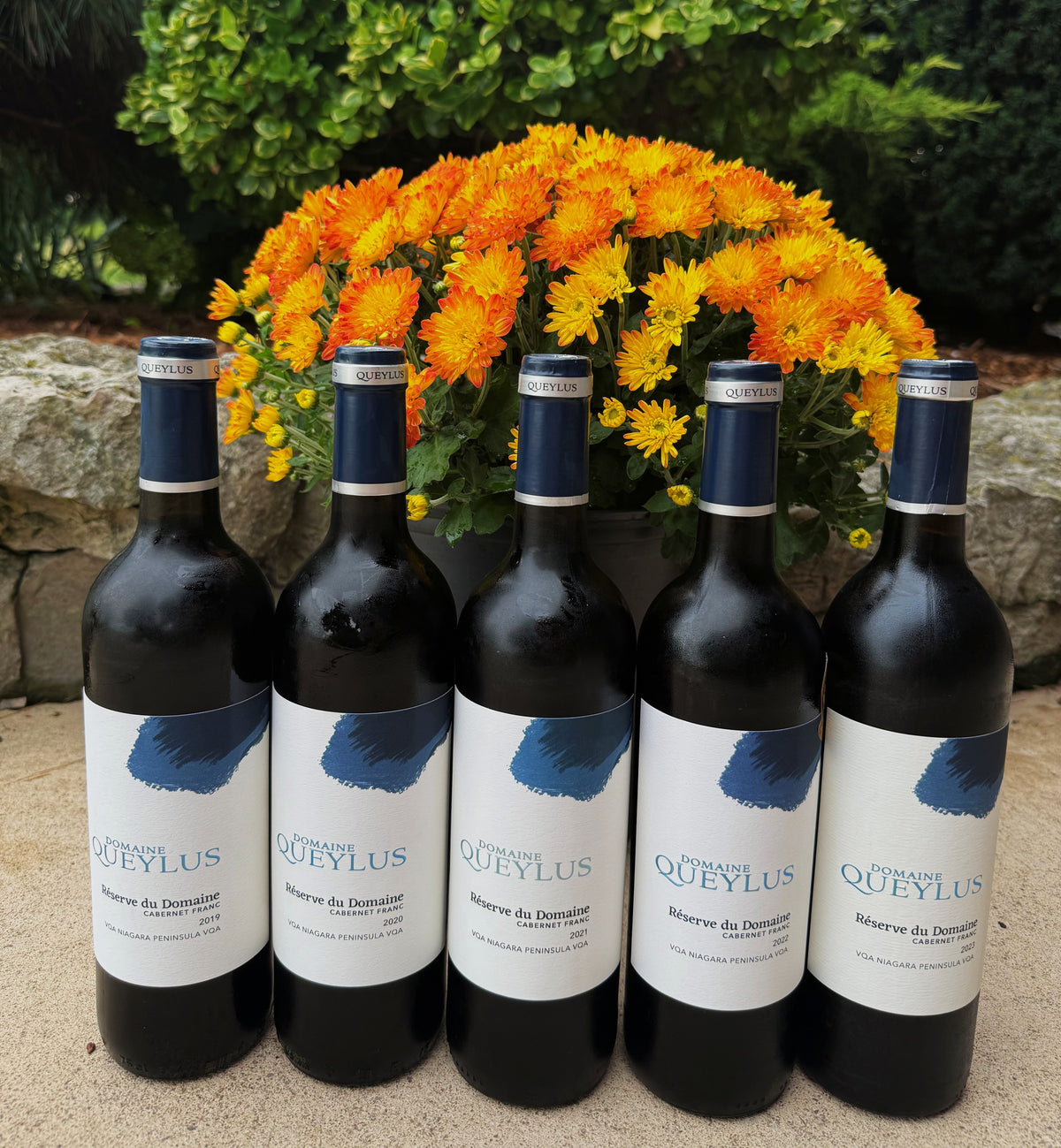 Cabernet Franc Réserve du Domaine Vertical 2019-2023