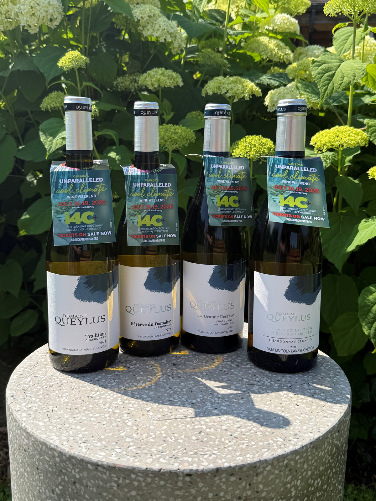 2024 Chardonnay i4C wines
